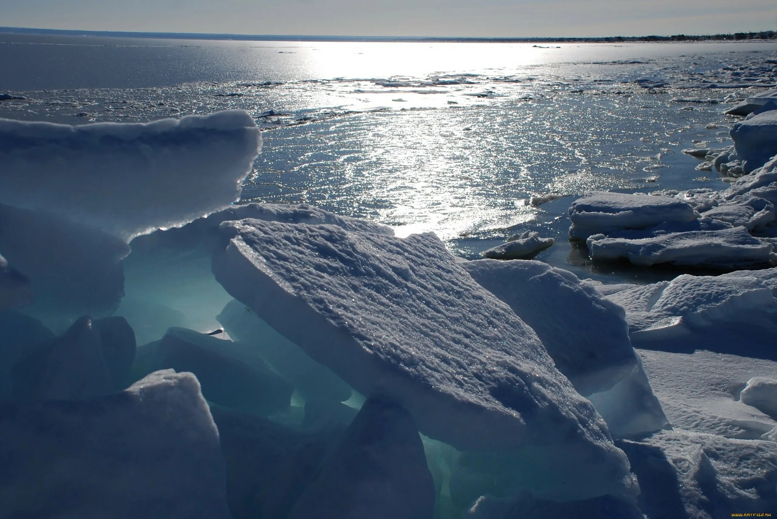 Северный Ледовитый океан паковый лед. Море Уэдделла. Торосы Карское море. Белое море Северный Ледовитый океан. Почему не замерзает баренцево