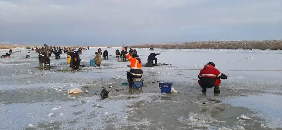 Северодвинск рыбаки. Водоёмы Северодвинска. Северодвинские рыбаки шокированы. Ягорка Северодвинск рыбалка. Рыбалка на севере главная архангельск