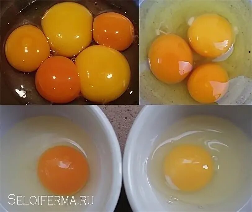 Почему желтки яиц светлые