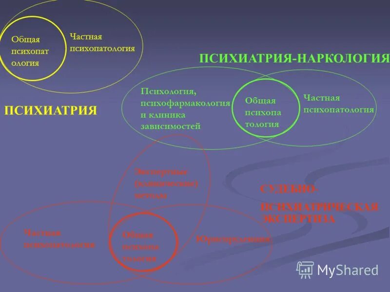 общая и частная психиатрия. психиатрия разделы психиатрии. частная психиатрия изучает. разделы общей психиатрии. общая психиатрия.