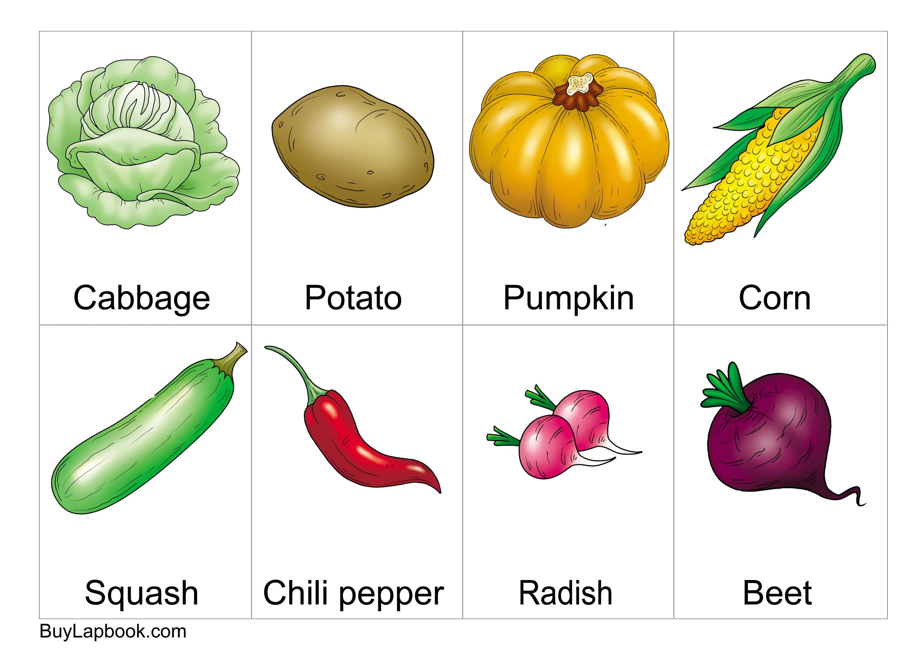 Vegetables learn. Vegetables flashcards for kids in english. карточки fruit and vegetables. карточки с изображением овощей. овощи на английском для детей.