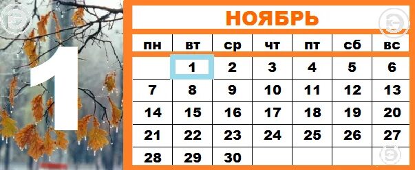 Ноябрь какой день года. 20 Ноября календарь. 13 Ноября календарь. 10 Ноября календарь. 14 Ноября календарь.