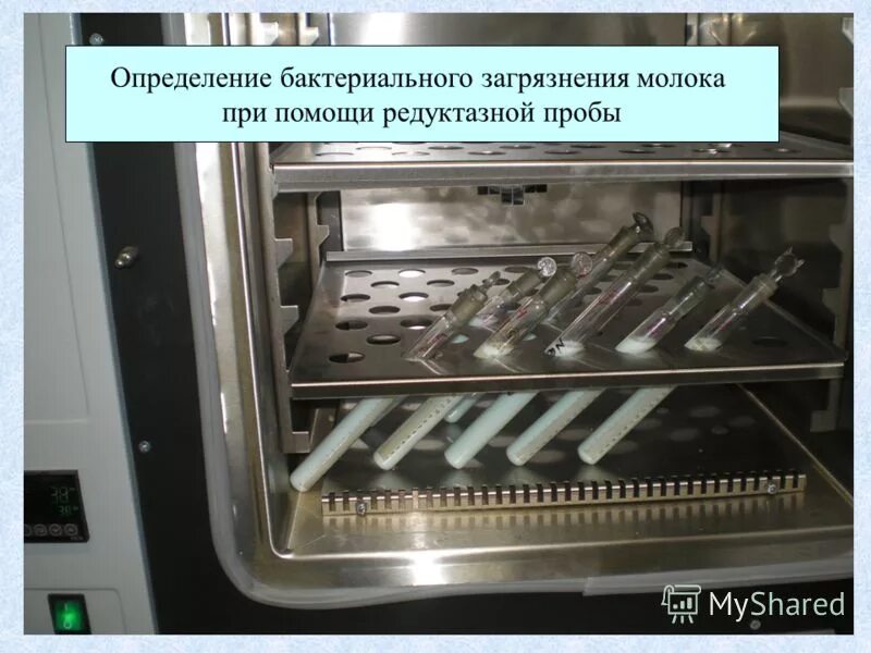 редуктазная проба молока