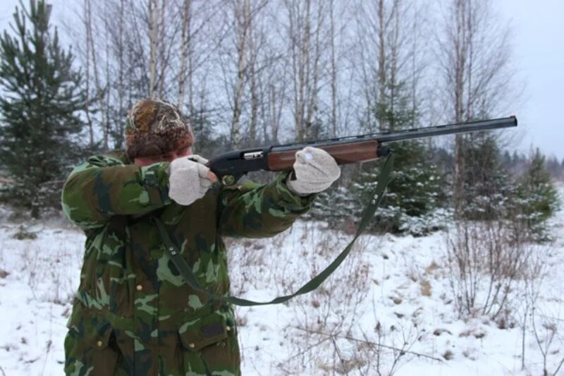 Охота в республике коми. Браконьеры Смоленск браконьеры. Борьба с незаконной охотой.