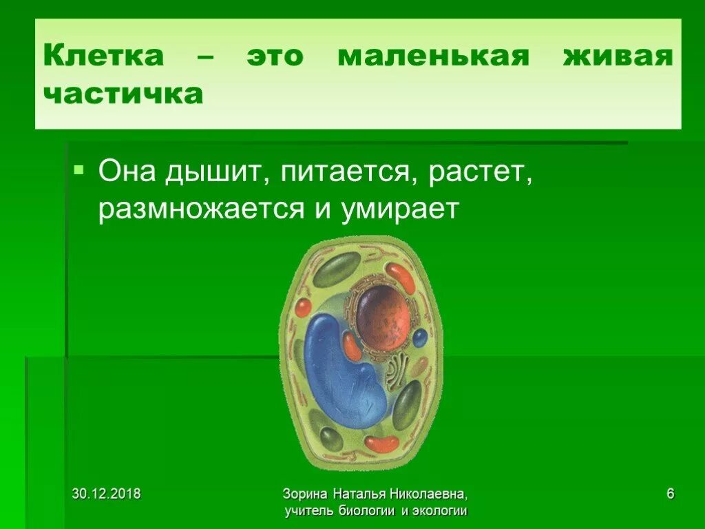 Роста и развития живых клеток