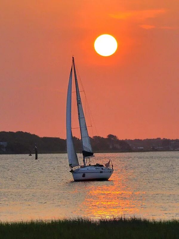 Lets sailing