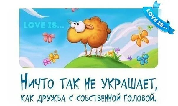 Ничто так не украшает. Ничто не украшает человека как Дружба с собственной головой. Ничто так не украшает человека как. Дружба с собственной головой картинки. Ничего не приукрасил.