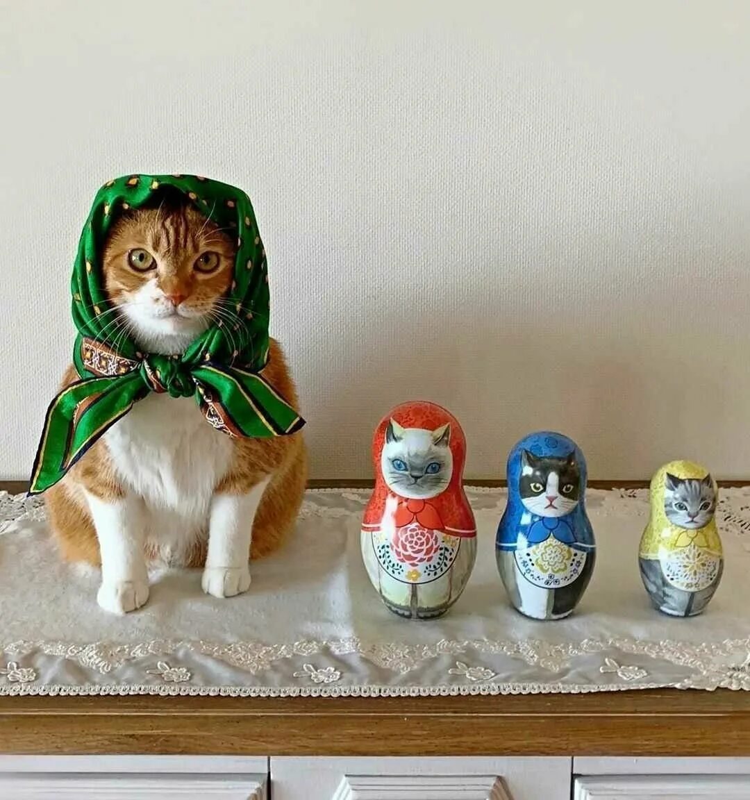 Зовут кошку матрешка. Кошка Матрешка. Матрешки с котами. Забавные матрешки. Котик в платочке.