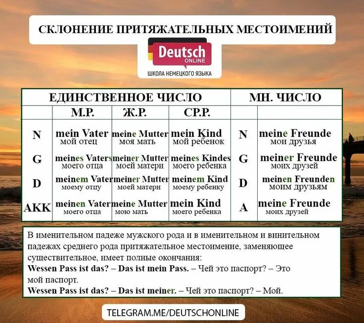 Местоимения в немецком. Притяжательные местоимения. Падеж Genitiv. Learn german,