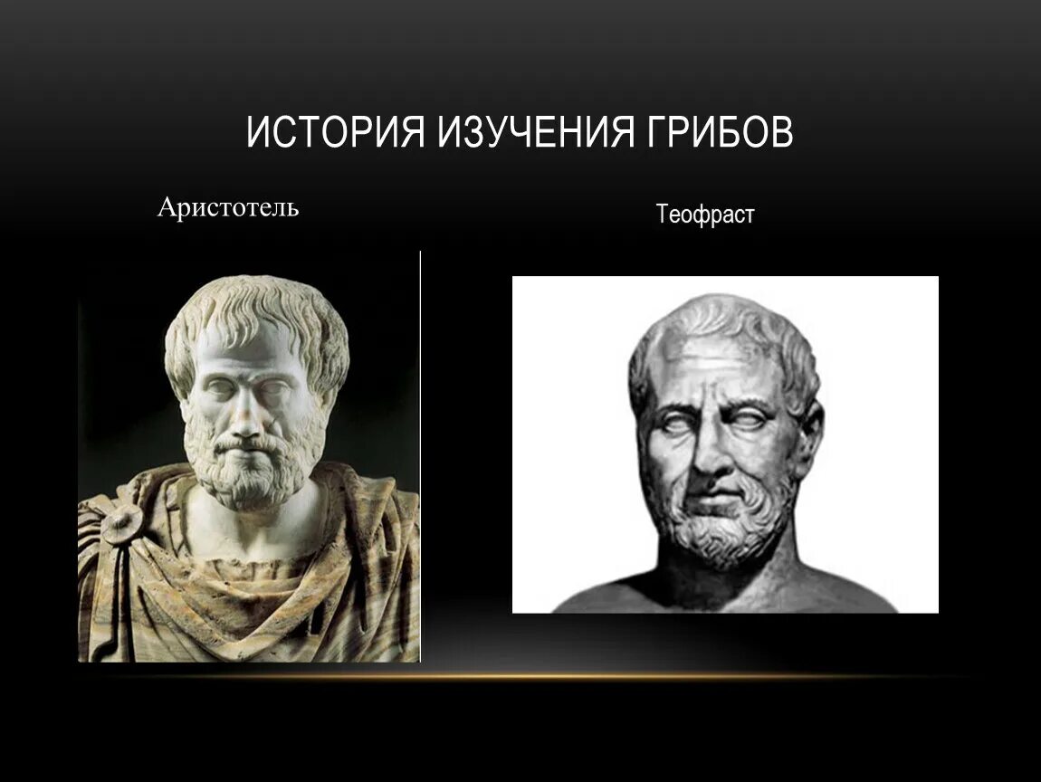 Пифагор и аристотель. Гиппократ аристотель. Аристотель гиппократ гален. Аристотель и теофраст. Гиппократ и гален.