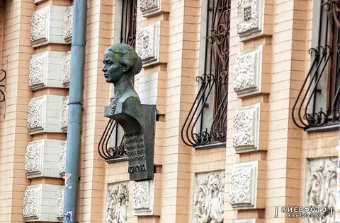 Библиотека леси