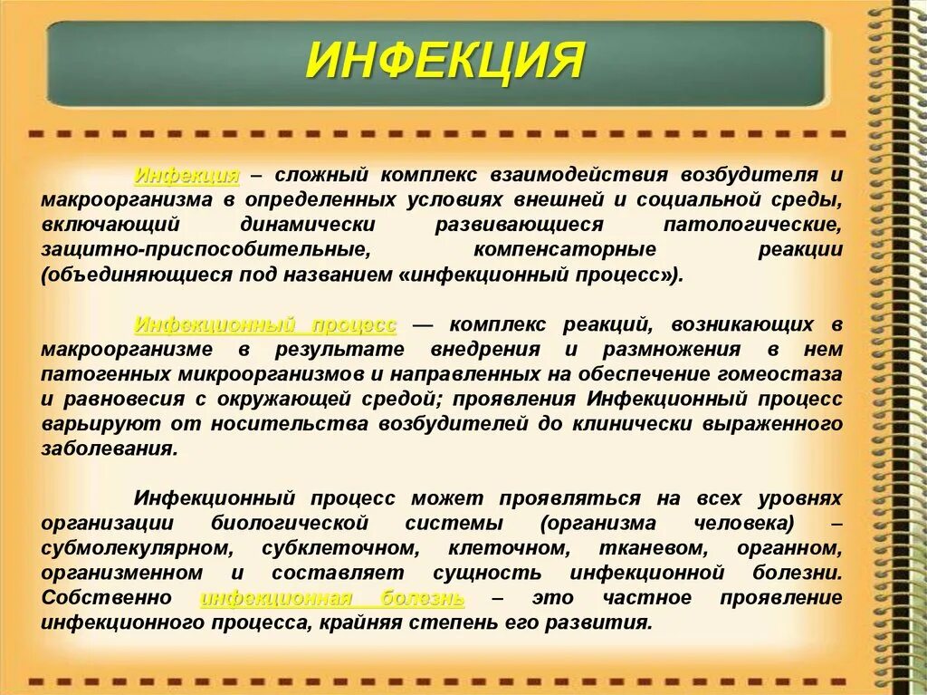 Взаимодействие микро и макроорганизма. Инфекционный процесс это сложный комплекс взаимодействия. Инфекционный процесс - это сложный процесс взаимодействия. Сложный процесс взаимодействия микро и макроорганизма. Инфекционный процесс может проявляться на всех уровнях.