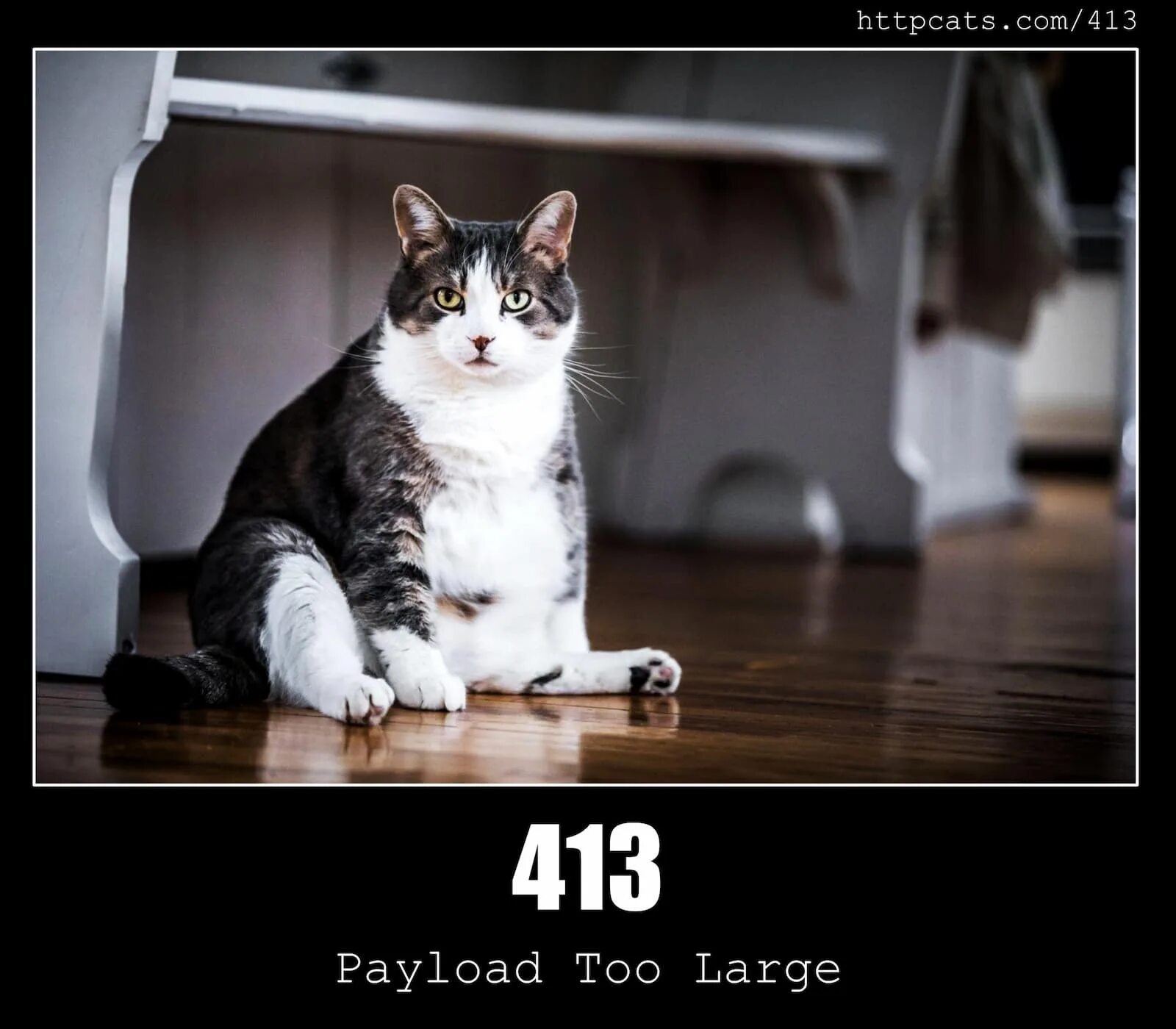 Payload too large