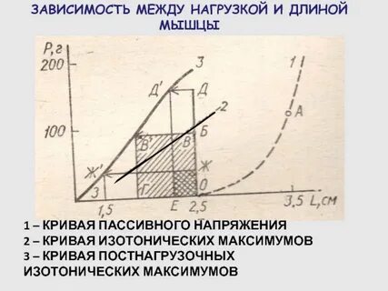 Пассивное напряжение