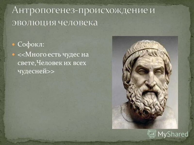 кому принадлежит имя софокл