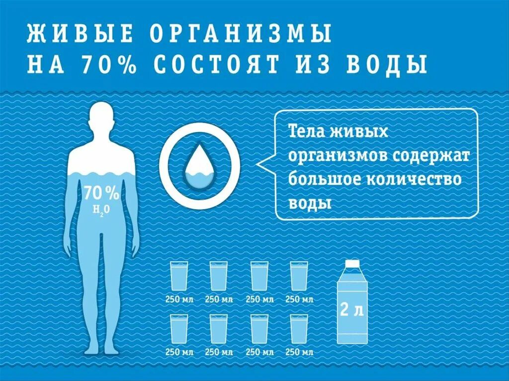 Свойство воды в организме человека. Вода в организме. Важность воды для организма. Роль воды в организме. Вода и человек.