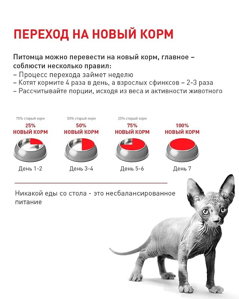 Перехрд на новый конм. Схема перевода на новый корм. Переход на новый корм собаки. Перевод на новый корм.