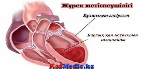 Солнечногорск жезөкшелерінің пәтерлері