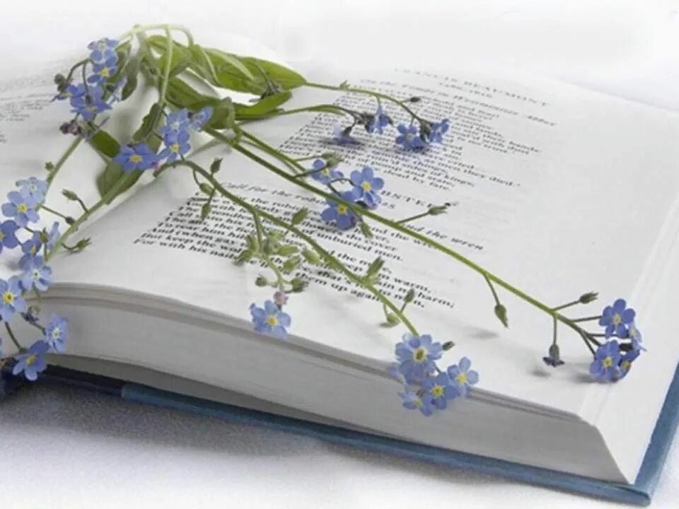 Стихи книга. Раскрытая книга. Стих цветы книги. Поэзия картинки. Раскрытая книга стихов.