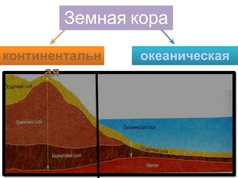 Изгиб в земной коре 7. Строение океанической земной коры. Базальтовый слой океанической коры. Строение Континентальной и океанической коры.