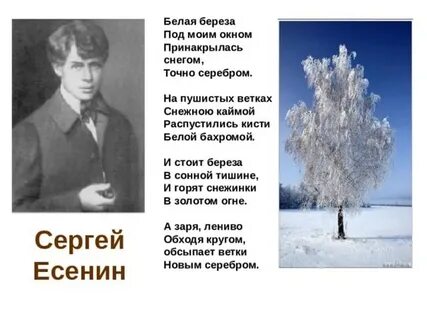 Слова есенина музыка струве береза