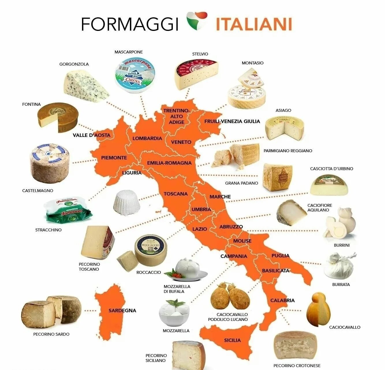 Карта сыров Италии. Сырная карта Италии. Продукты на итальянском языке. Карта сыров. Кулинария карта