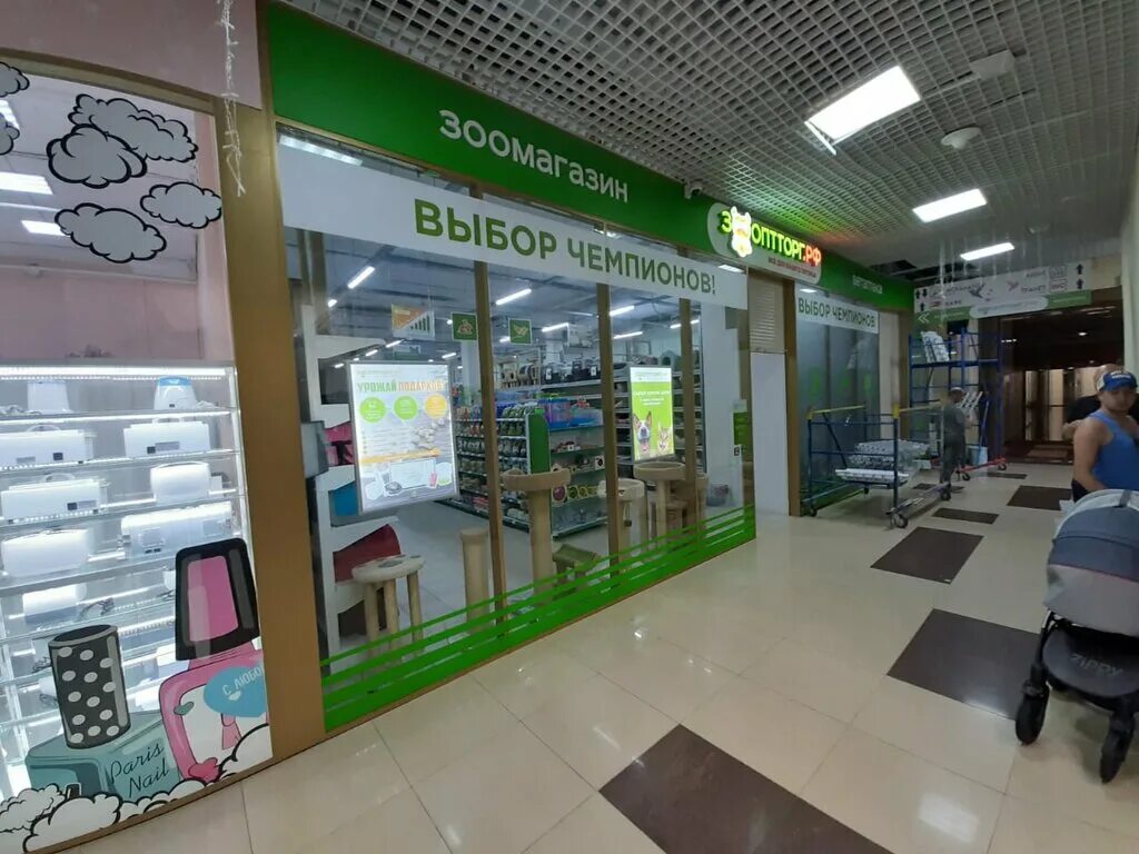 зоомагазин парнас. приют преданное сердце спб адрес. тц фестиваль бендеры. зоомагазин ля мур внутри. зоомагазин на коломяжском 10.