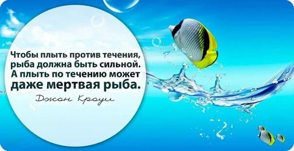 Плыву против течения проходишь. Плыви против течения. живая рыба плывет против течения. плыть против течения. рыбы плавающие против течения.