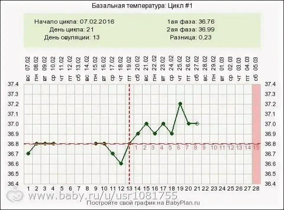Базальная температура 37 это. Графики базальной температуры. Беременный график бт 28 дней цикл. 8. Базальная температура цикл.