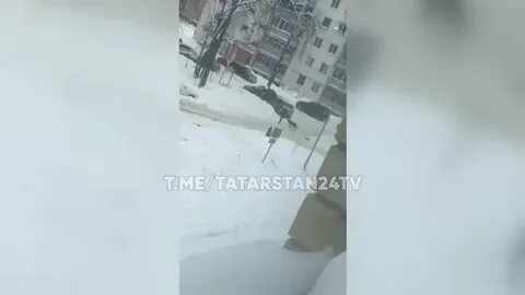 Зеленодольск 24