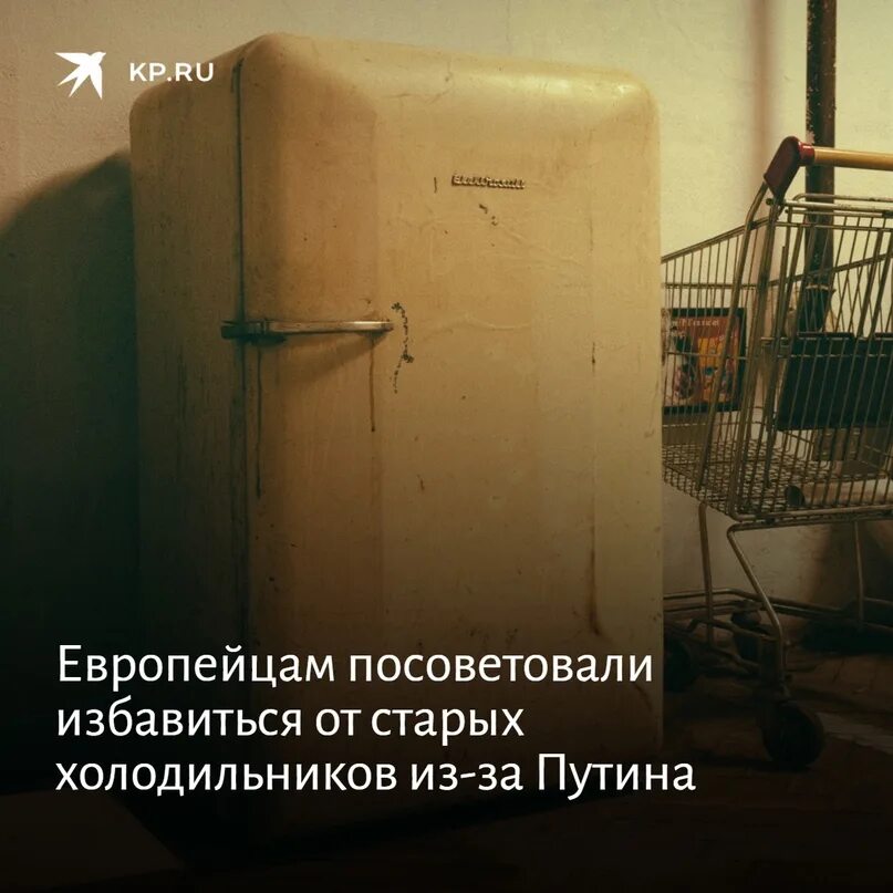 Открыли старый холодильник а там затерянная. Холодильник друг Путина. Холодильники друзья Путина Мем. Холодильник друг женщин.