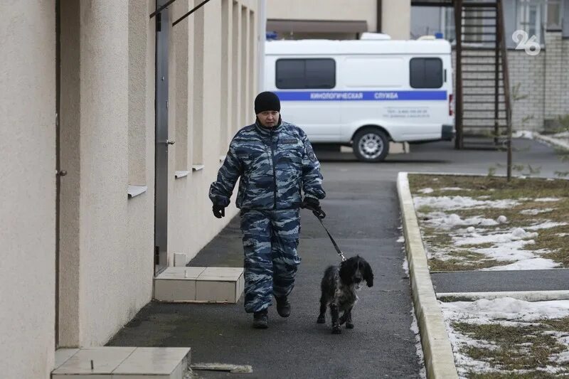 Минирование сегодня. Полиция фото. минирование школ. заминировали школы. городская полиция.