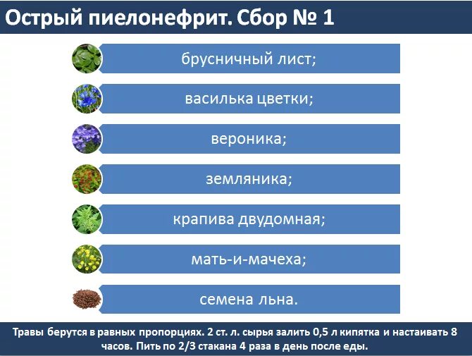 Продукты при пиелонефрите. Фитотерапия пиелонефрита. Пиелонефрит сбор трав. Острый пиелонефрит фитотерапия. Фитотерапия при хроническом пиелонефрите.