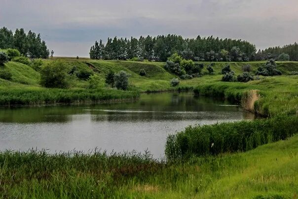 Екатериновка ульяновская область. Екатериновка ульяновская область турбаза. Сенгилеевские горы национальный парк. Екатериновка церковь ульяновская. Сенгилеевские горы.