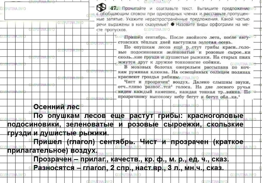 Прочитайте текст и согласуй его с рисунком. По русскому языку 6 класс ладыженская. Повторение 6 класс русский язык ладыженская. Прочитайте. Озаглавьте. Русский язык 6 класс ладыженская упражнение 294.