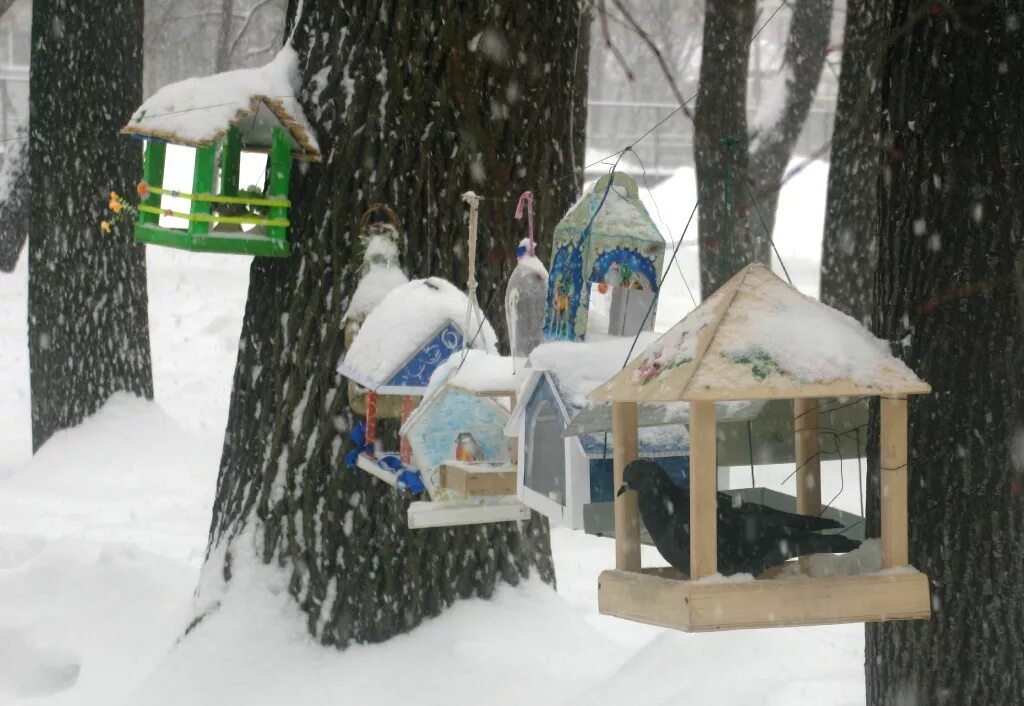 Кормушки с детьми в детском саду. Кормушки для птиц в доу. Кормушка для птиц в детский сад. Кормушки в доу. Кормушка в детский садик.
