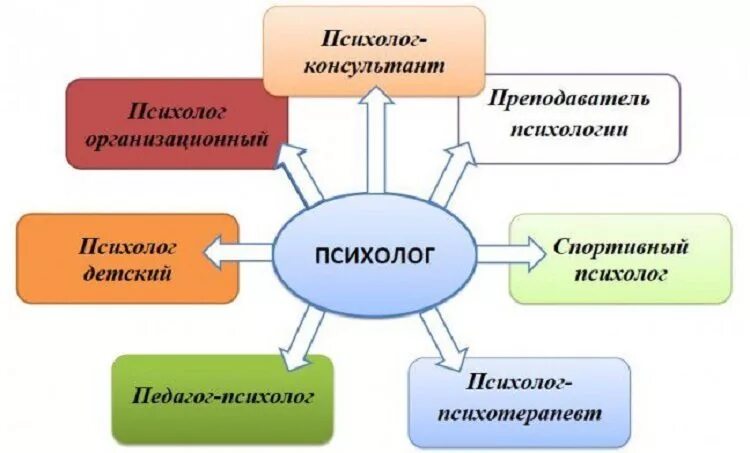 Специализация профессии психолог. Психолог направления профессии. Какие бывают психологи. Виды психологов специальности. Психологи в17 ру