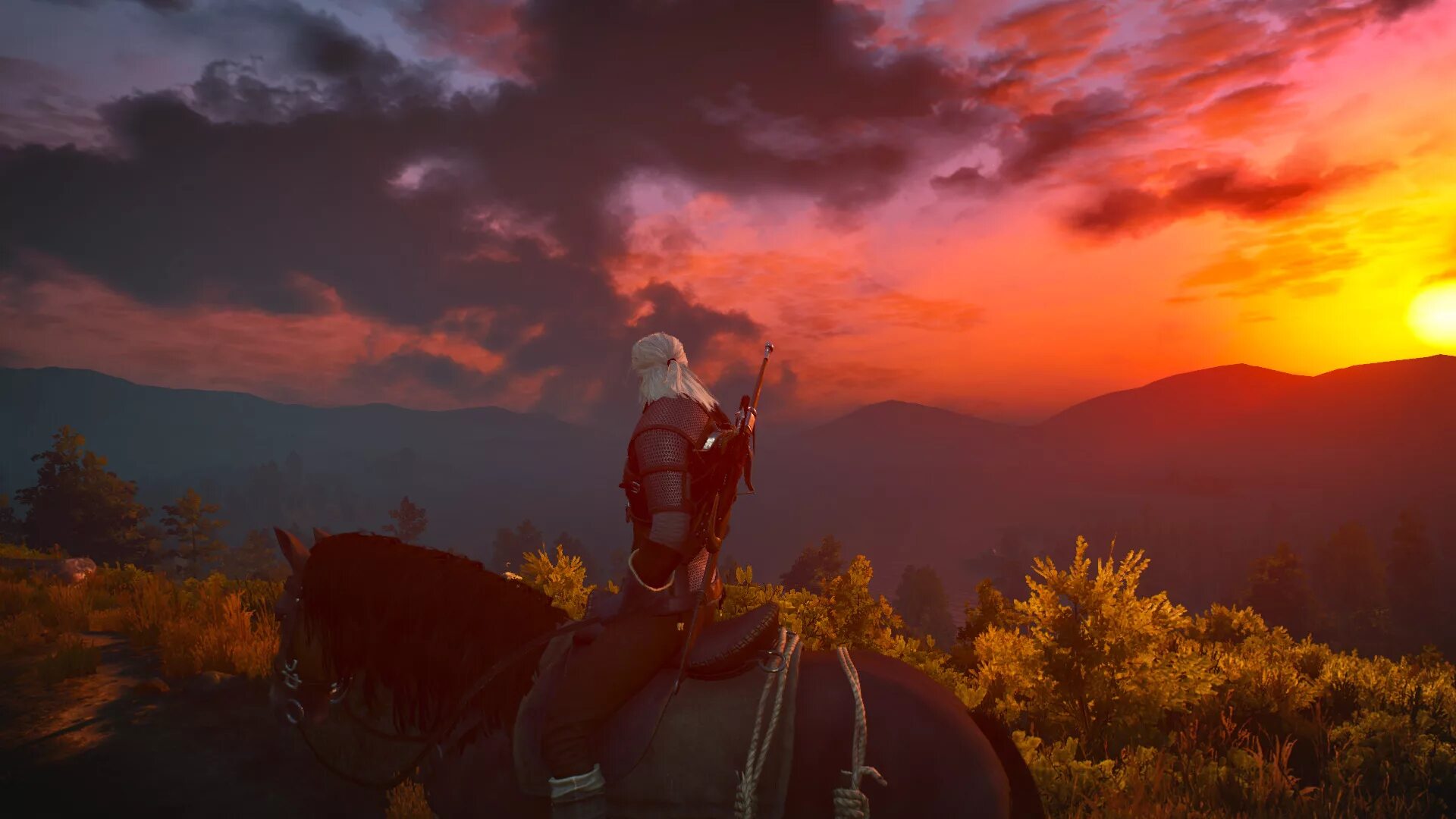 Witcher me