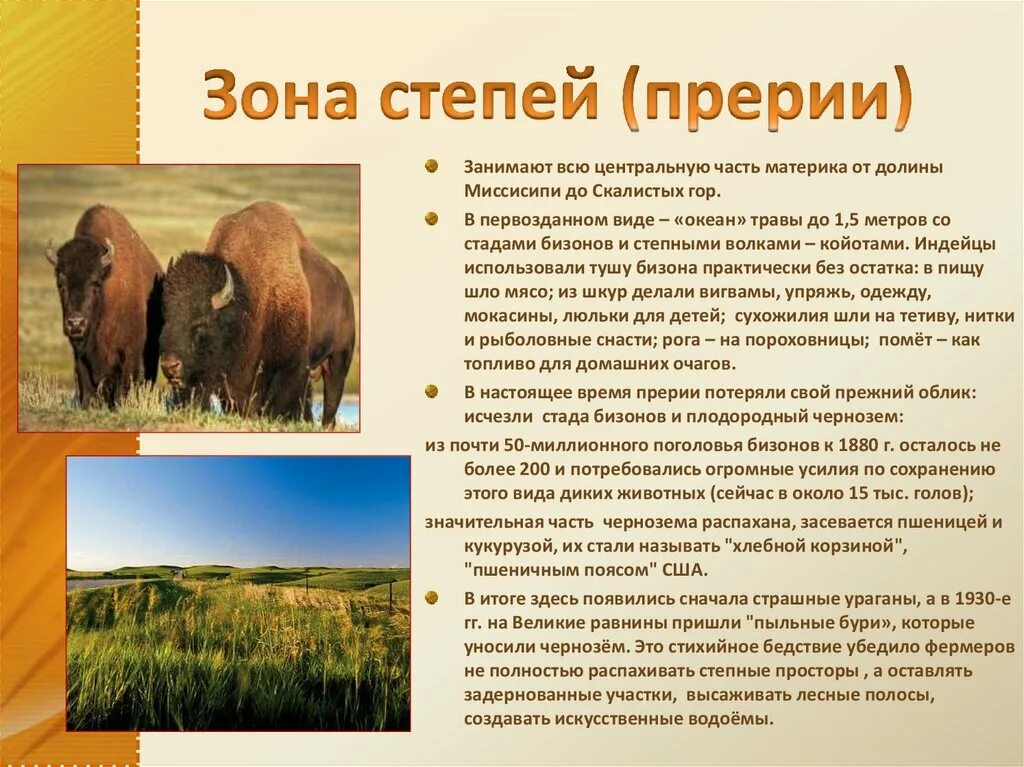 Наибольшее видовое разнообразие характерно для степей