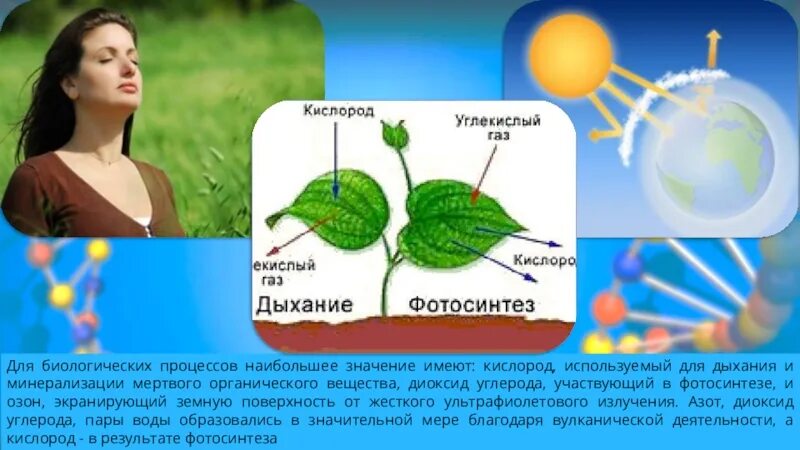 При дыхании растений образуются органические вещества. Фотосинтез кислород. Реакция фотосинтеза. Опыт фотосинтез. Дыхание и минерализация мертвого органического вещества.