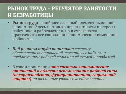 Какое место на рынке труда занимает занятость