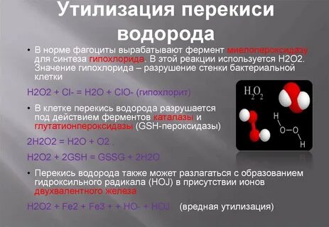 Гидроксильный радикал