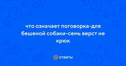 Для бешеной собаки и сто