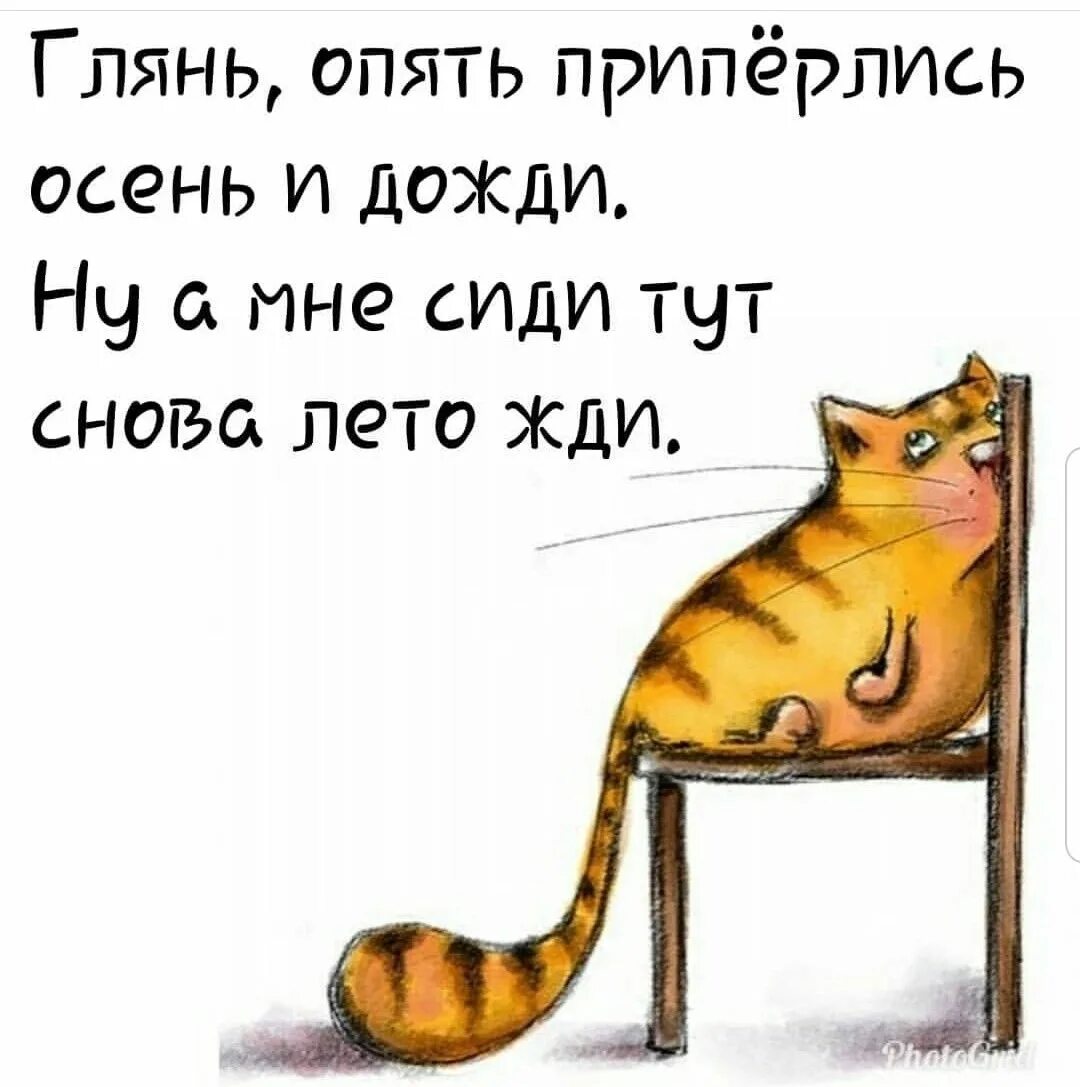 Я тут буду сидеть. Смешные планы на день. Планирование прикол. Планы кота на день. Прикольный план на день.