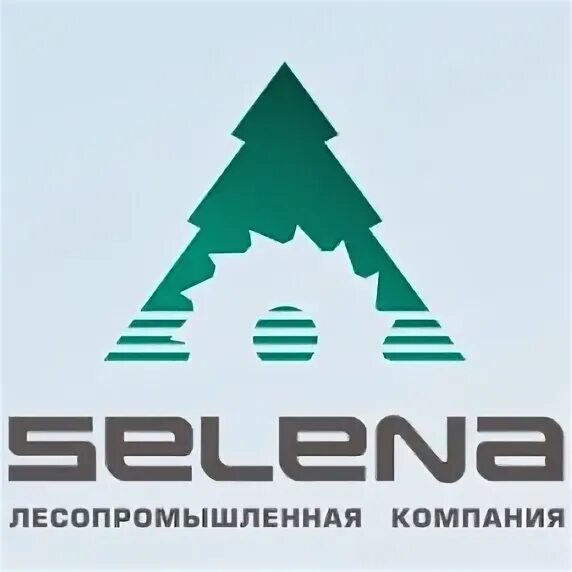 Лесопромышленные компании. Логотип фирмы Лесная промышленность. Логотип лесозаготовительной компании. Selena лесопромышленная компания.