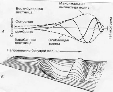 Теория бекеши