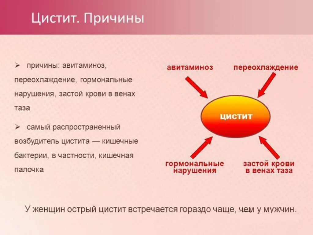 Каким образом появляются. Цистит причины. Цистит у женщин. Цистит причины симптомы. Цистит причины возникновения.