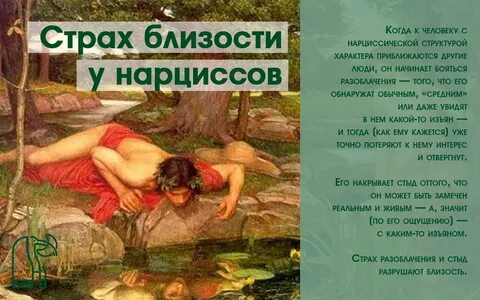 Зависимый нарцисс