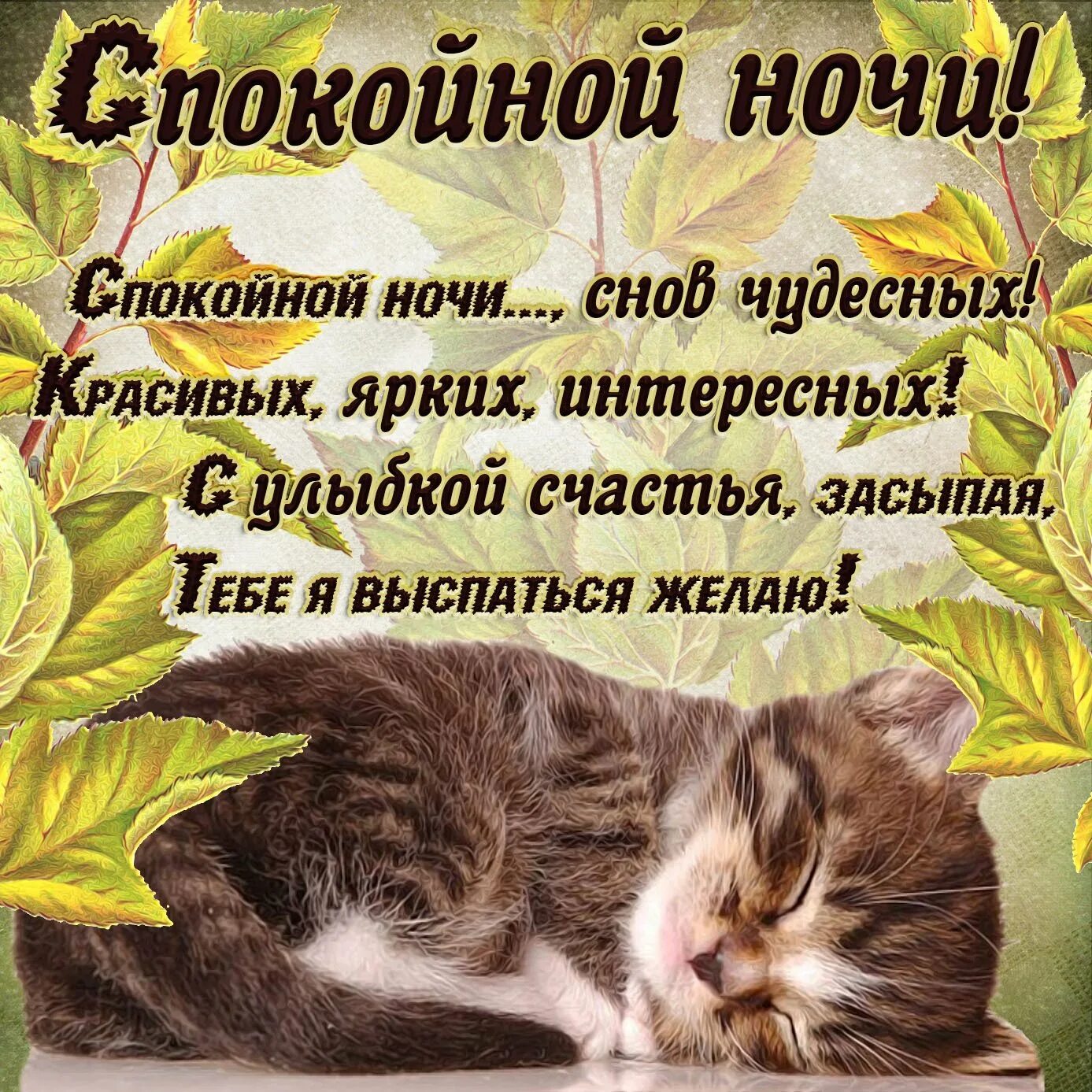 Поздравления доброго утра доброй ночи. Пожелания спокойной ночи. спокойнойночки пожелания. открытки спокойной ночи. прикольные пожелания спокойной ночи.