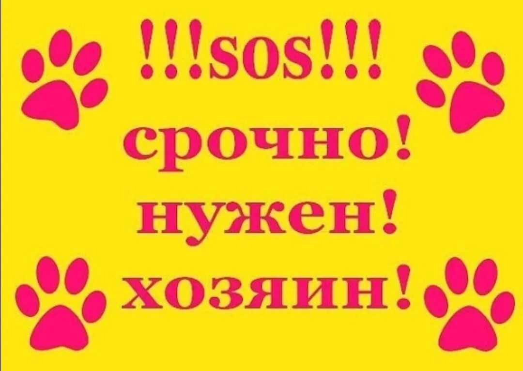 Очень очень очень очень добрые руки